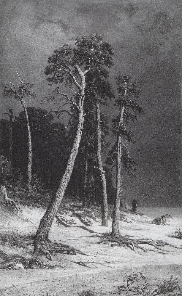 Pines by Ivan Shishkin