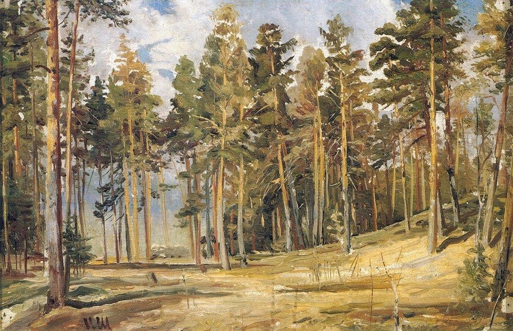 Pines. Sunny Day by Ivan Shishkin