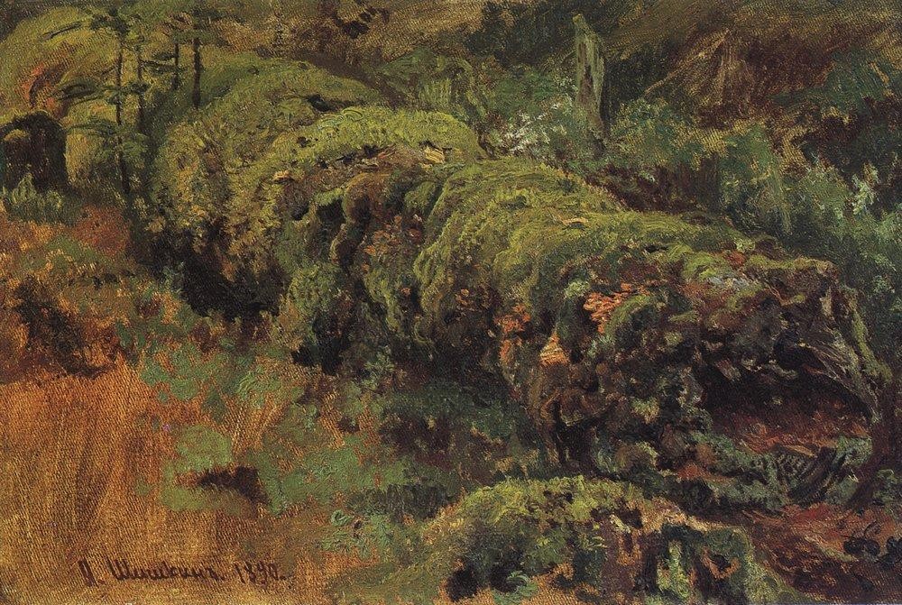 Rotten wood, covered with moss by Ivan Shishkin