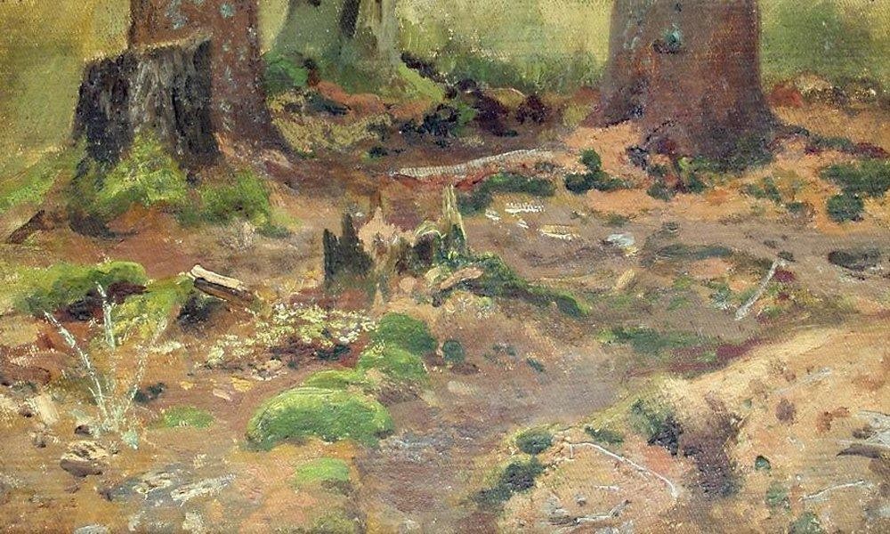 Study. Forest by Ivan Shishkin