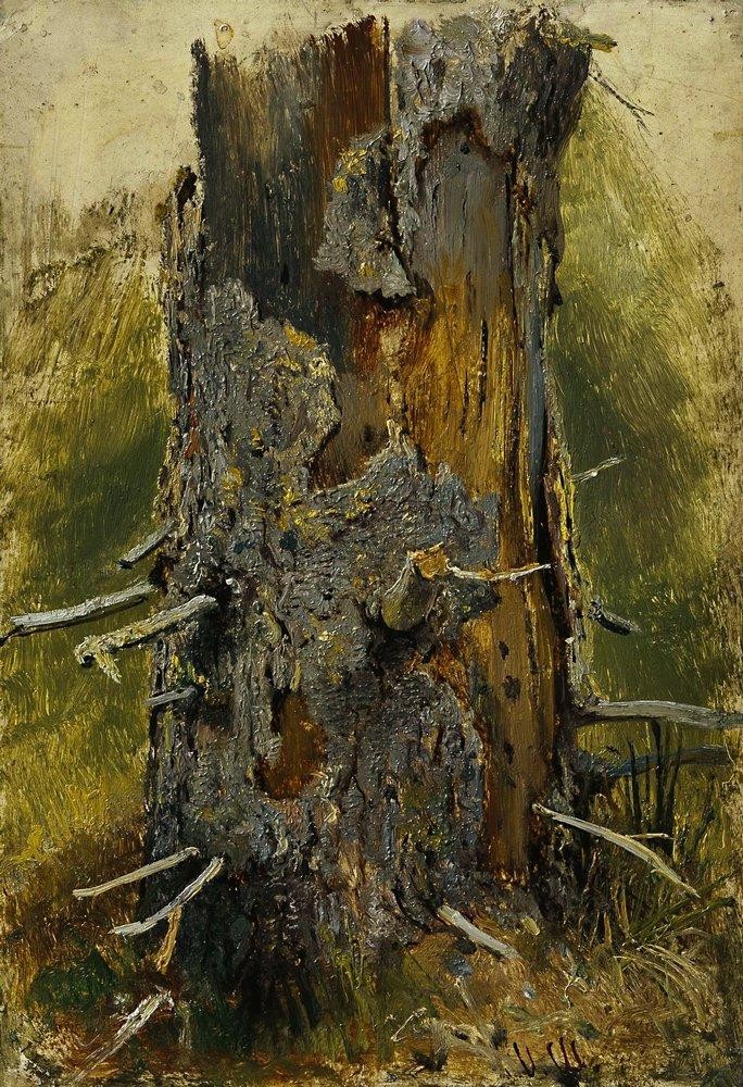 The bark on the dry trunk by Ivan Shishkin