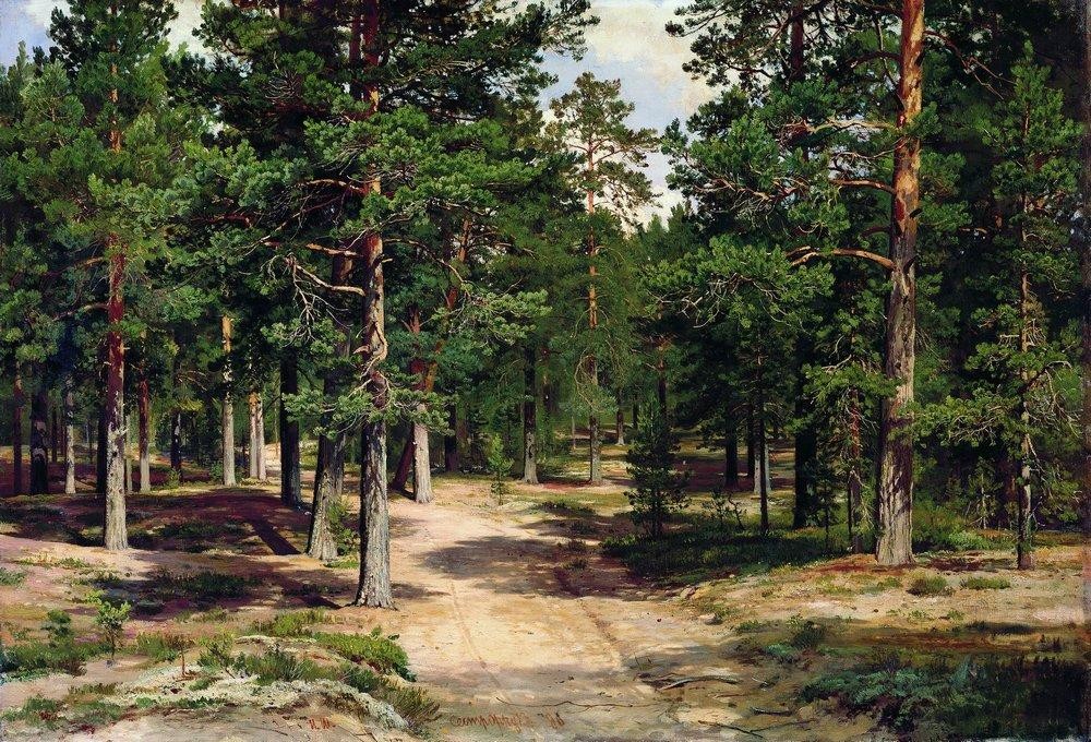 The Sestroretsk Bor by Ivan Shishkin