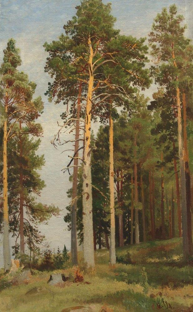 The Sun lit Pines by Ivan Shishkin