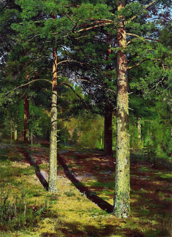 The Sun lit Pines by Ivan Shishkin