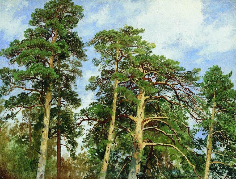 The tops of the pines by Ivan Shishkin