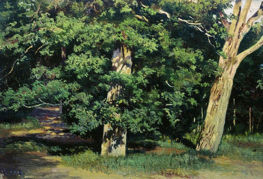 Trees by Ivan Shishkin