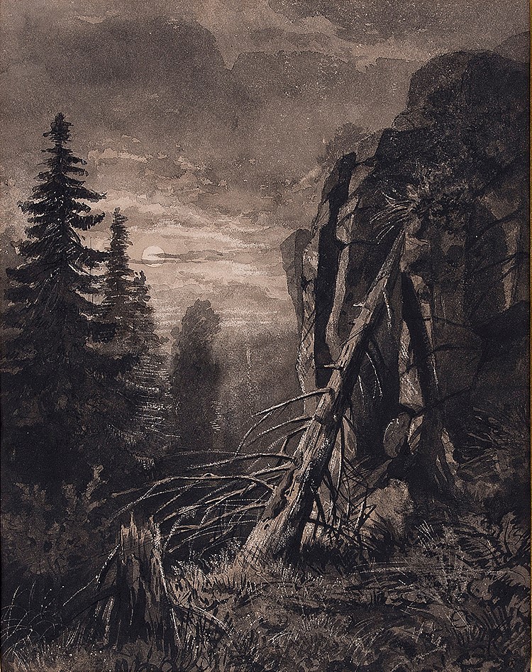 Valaam. Kukko. by Ivan Shishkin