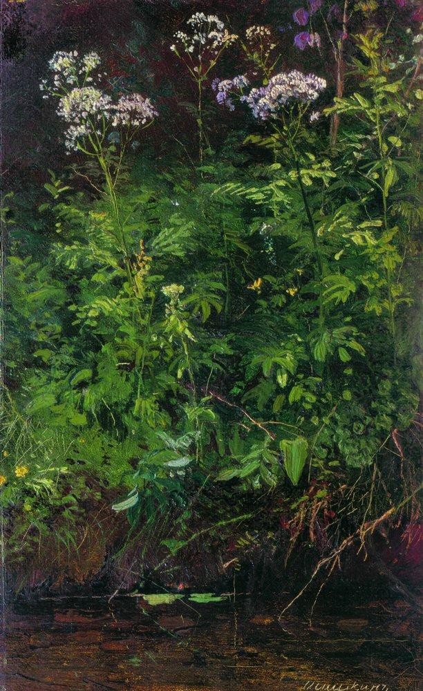 Wildflowers near the water by Ivan Shishkin