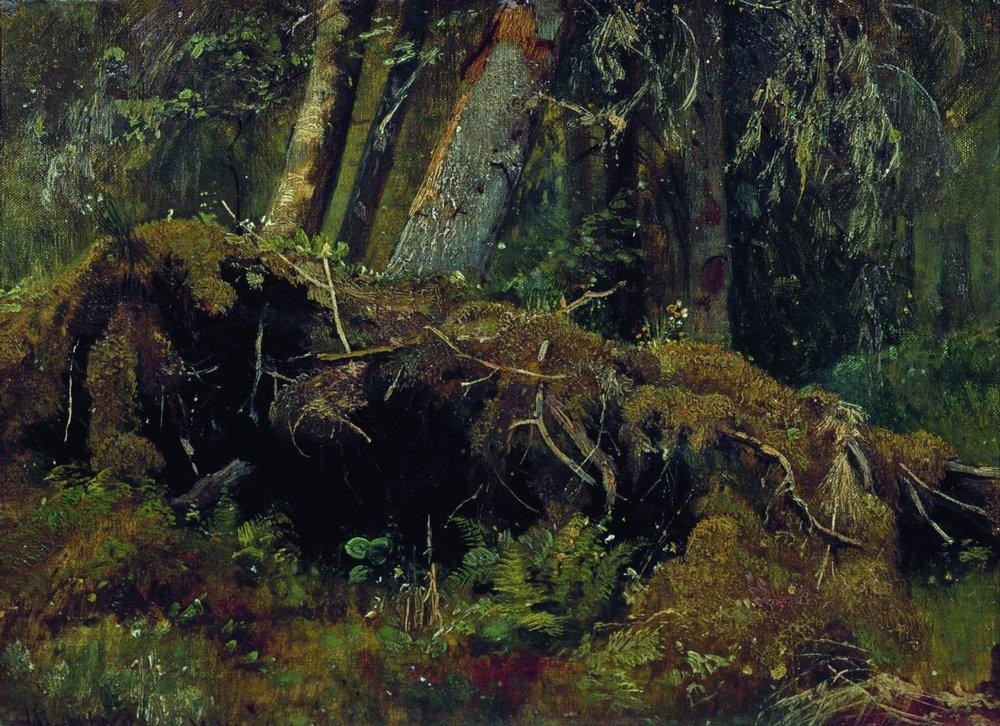Wind Fallen Trees by Ivan Shishkin