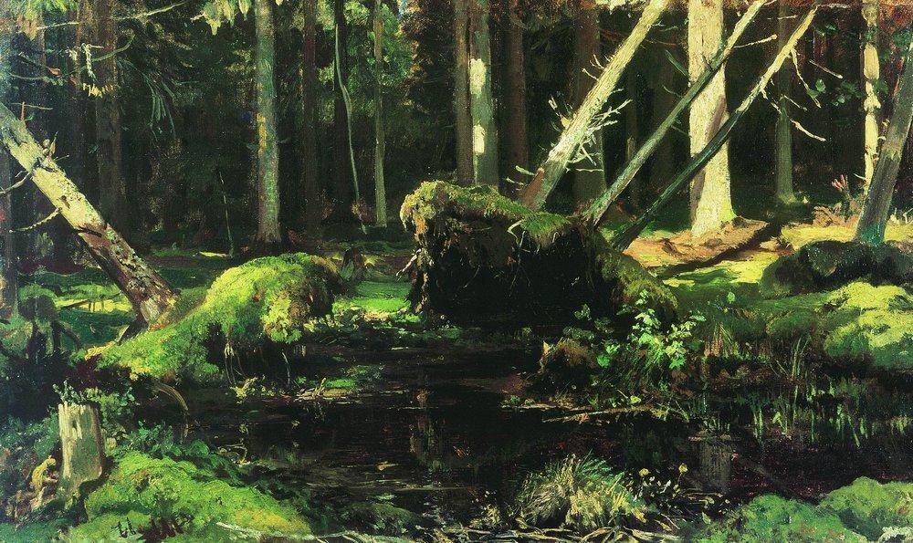 Wind Fallen Trees by Ivan Shishkin