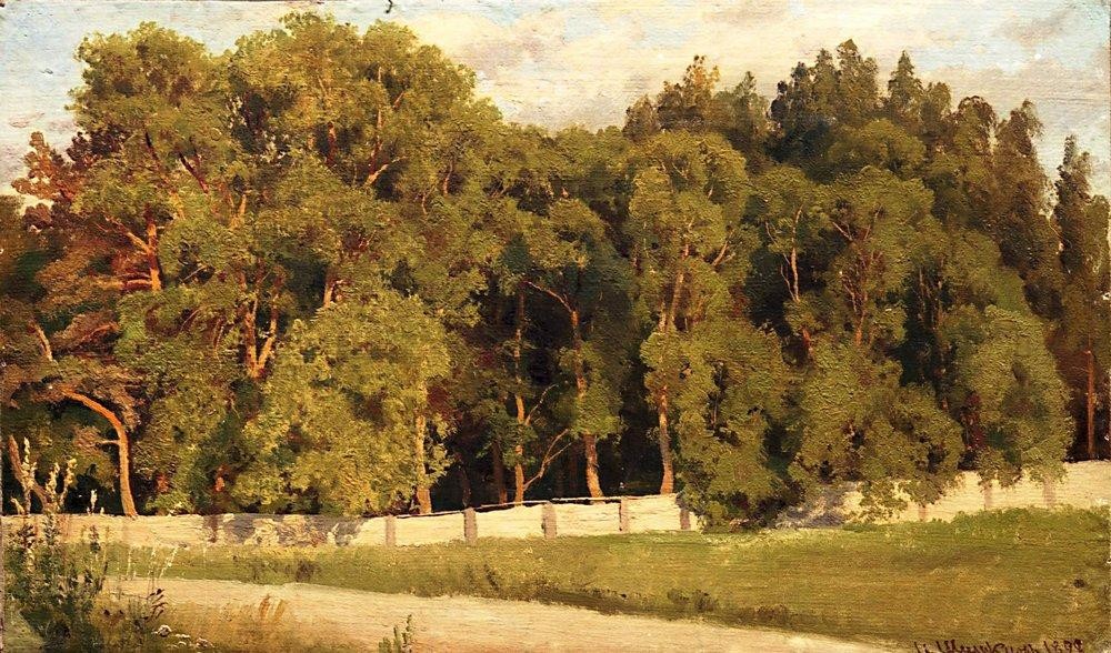 Woods behind the fence by Ivan Shishkin