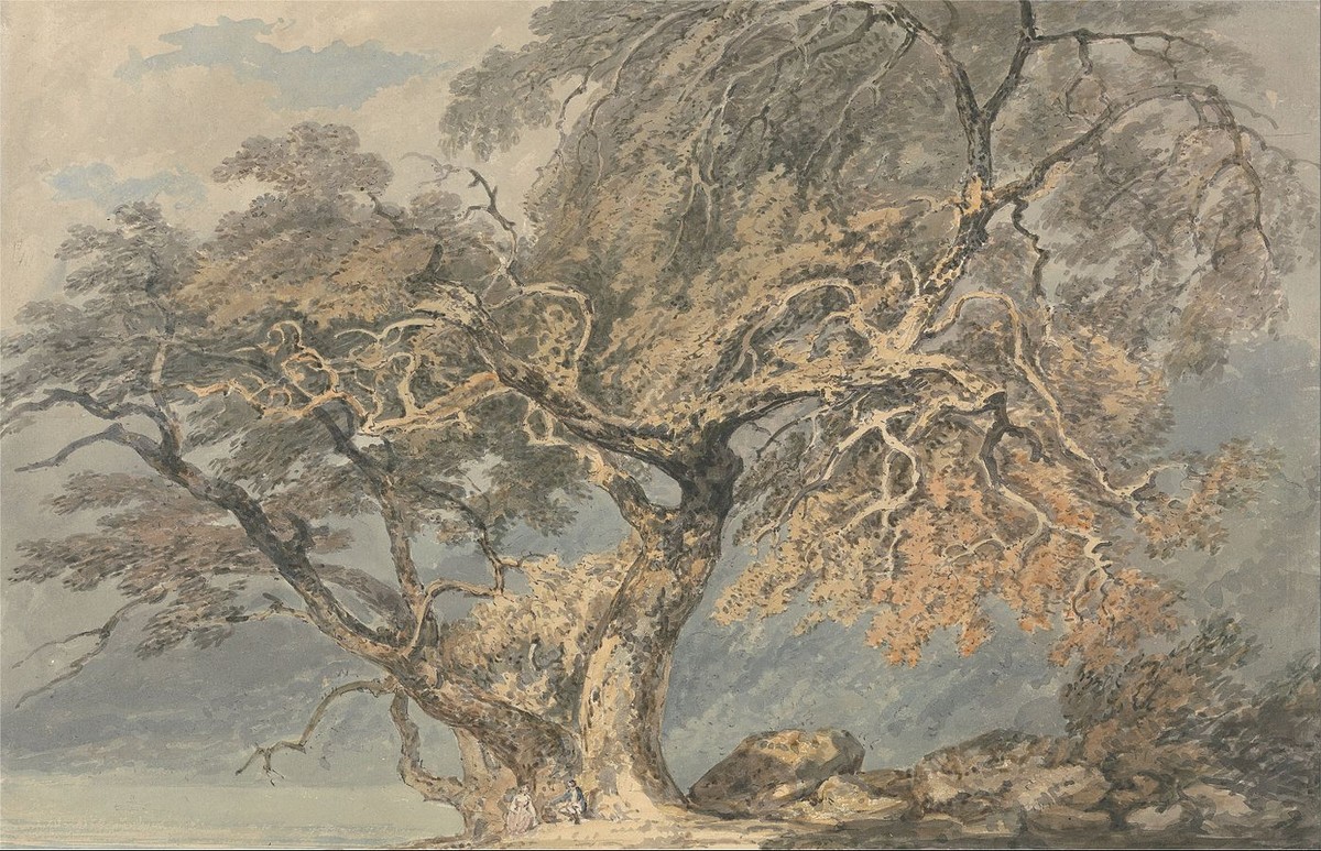 A Great Tree by J.M.W. Turner