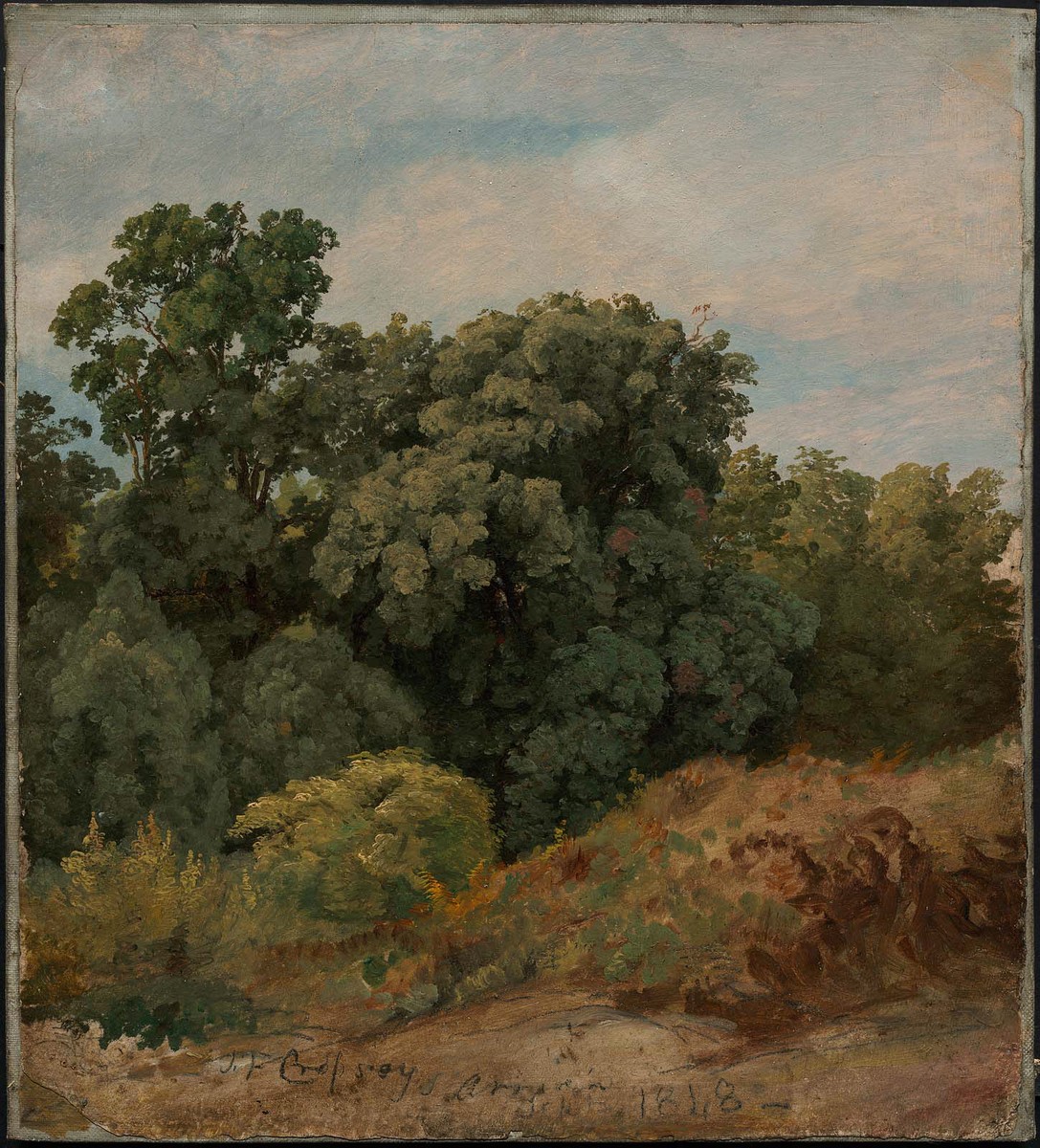 Study of a Clump of Trees by Jasper Francis Cropsey