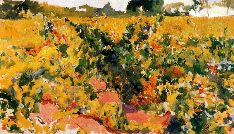 Study of Vineyard by Joaquín Sorolla