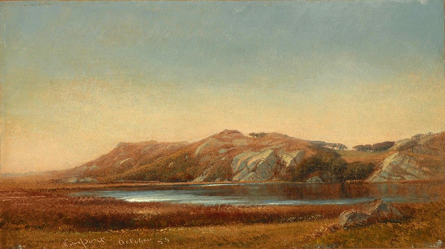 Almys Pond Newport Rhode Island by John Frederick Kensett