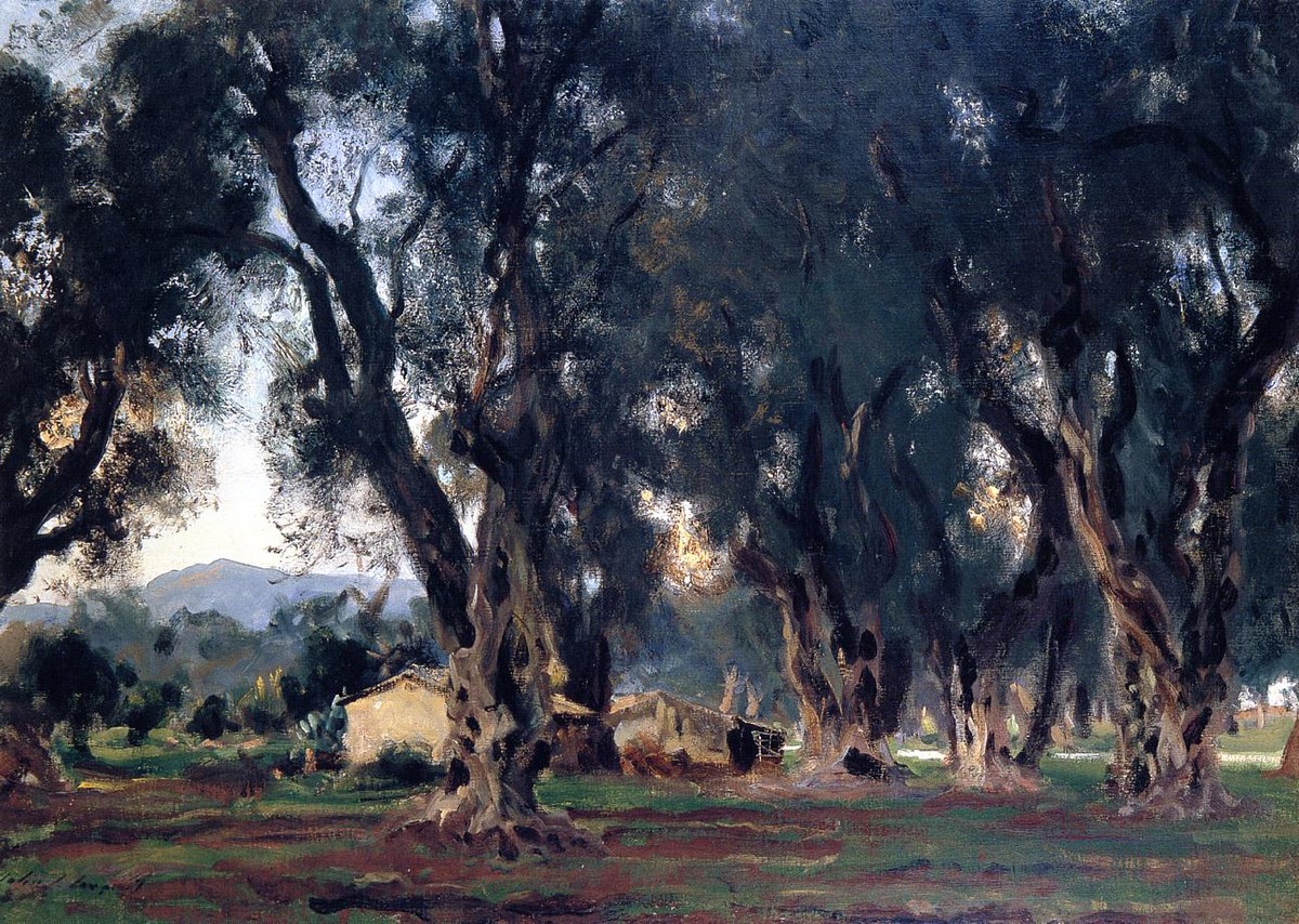 Olive Trees at Corfu by John Singer Sargent
