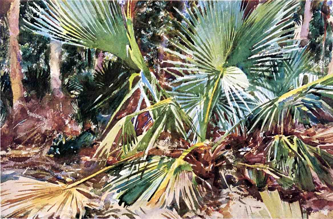 Palmettos, Florida by John Singer Sargent