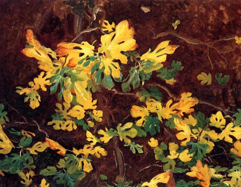 Study of a Fig Tree by John Singer Sargent