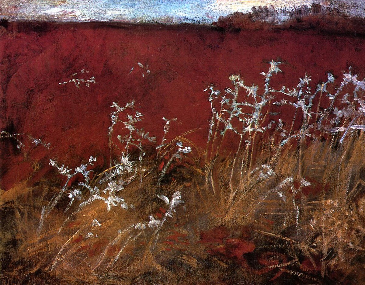 Thistles by John Singer Sargent