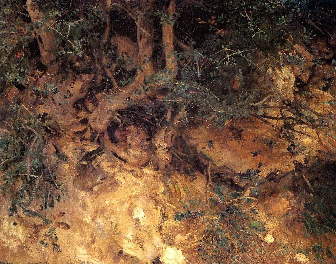 Valdemosa, Majorca Thistles and Herbage on a Hillside by John Singer Sargent