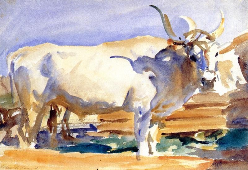 White Ox at Siena by John Singer Sargent