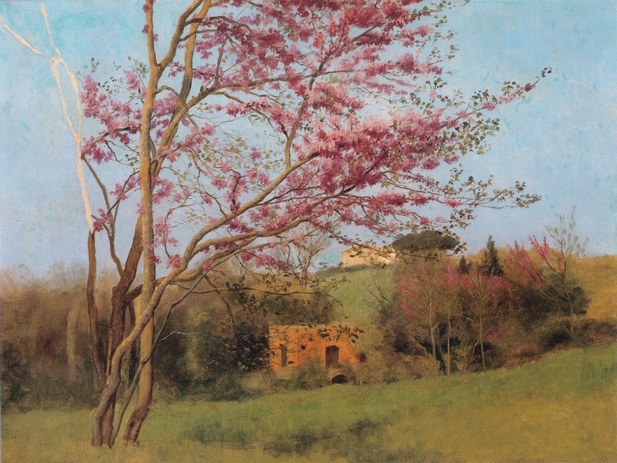 Landscape: Blossoming Red Almond (study) by John William Godward