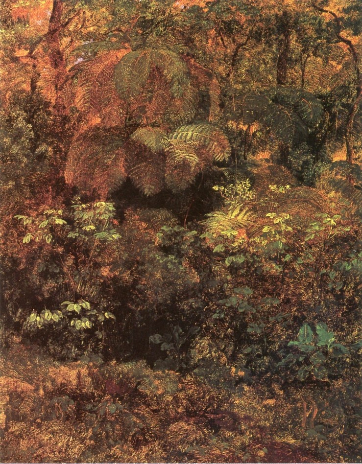Bosque de Pacho by Jose Maria Velasco