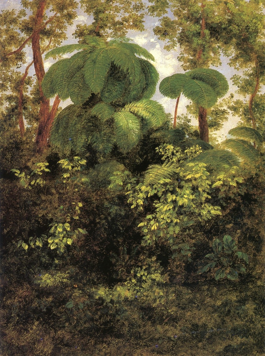 Bosque de Pacho by Jose Maria Velasco