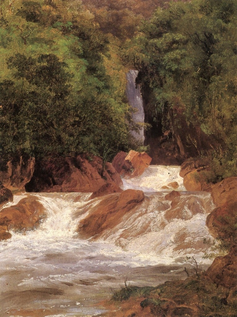 Cascada de Tuxpango by Jose Maria Velasco