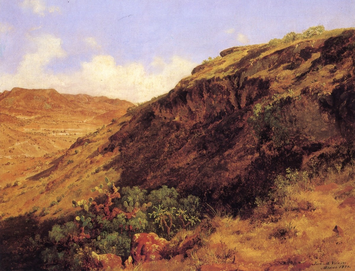 Ladera occidental del cerro de Guerrero by Jose Maria Velasco