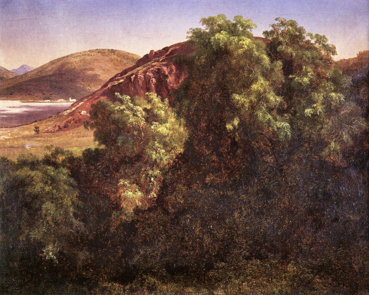 Pirúes del Tepeyac by Jose Maria Velasco
