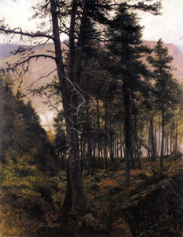 Fir Trees in the Glen by Joseph Farquharson