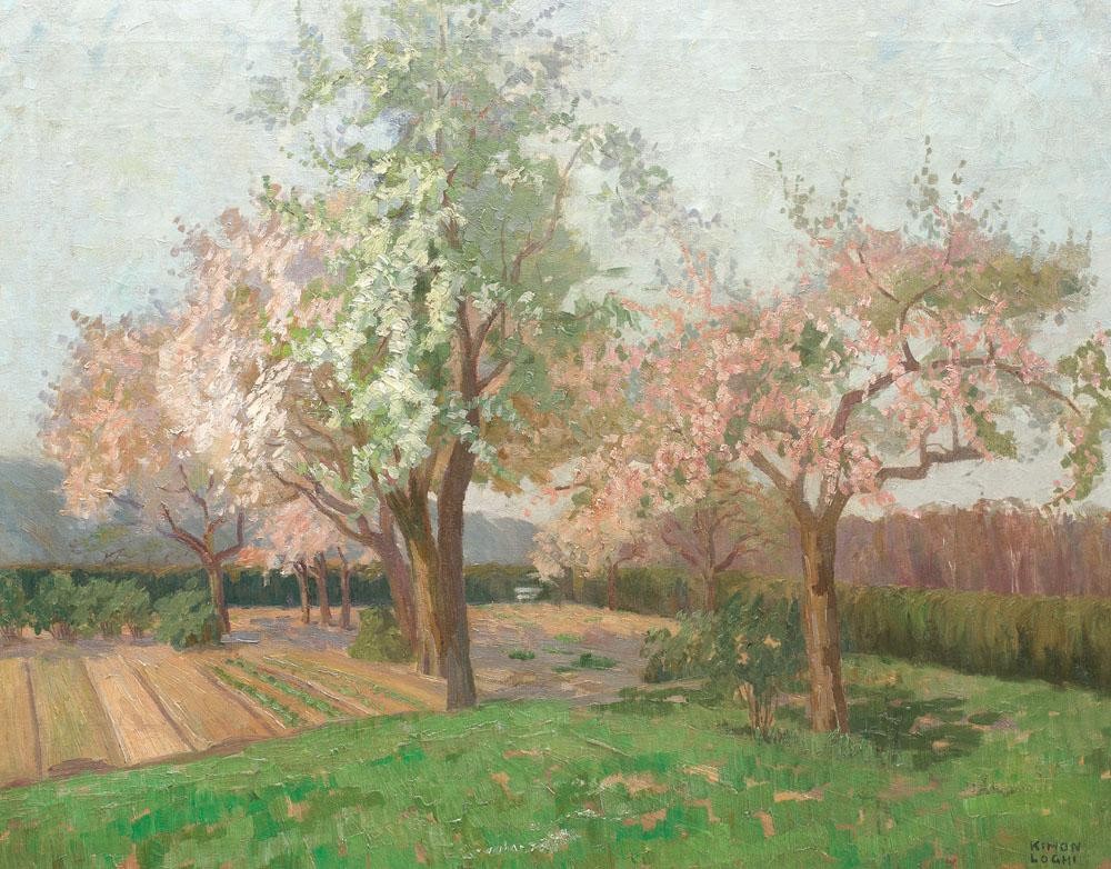 Blooming Cherry Trees by Kimon Loghi
