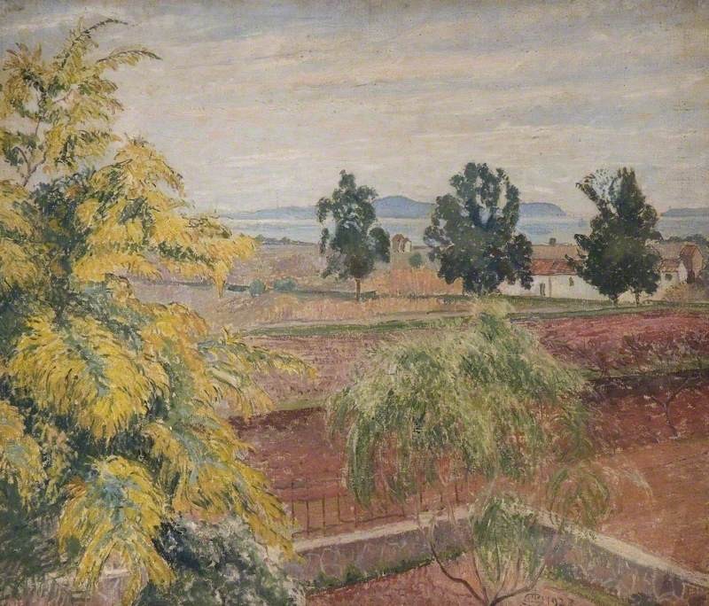 Mimosa, Lavandou by Lucien Pissarro