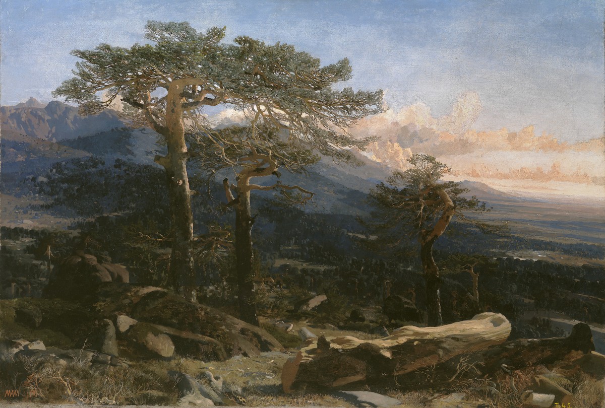 Guadarrama landscape by Martín Rico y Ortega