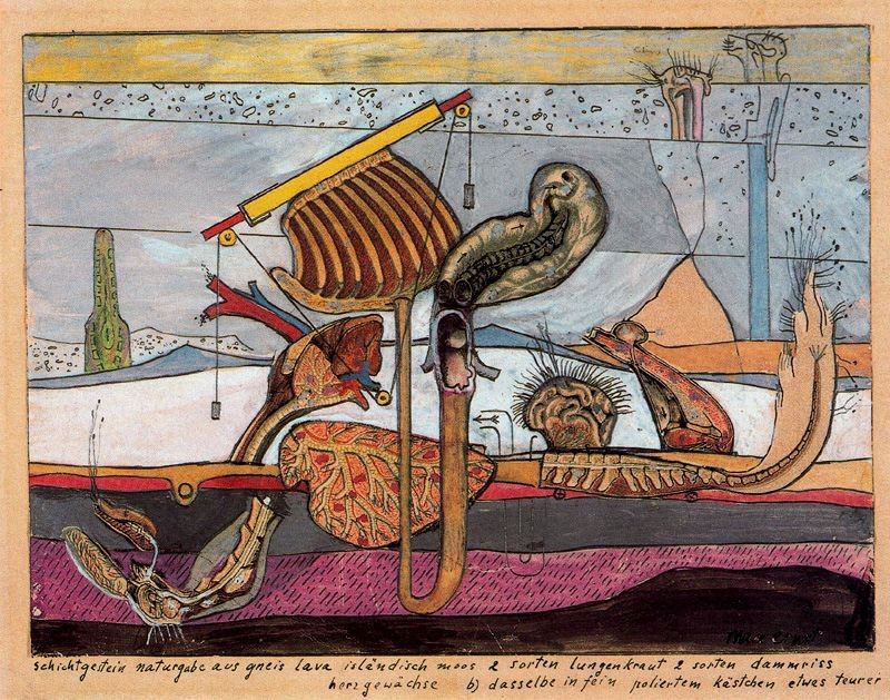 Stratified Rocks, Nature's Gift of Gneiss Lava Iceland Moss… by Max Ernst