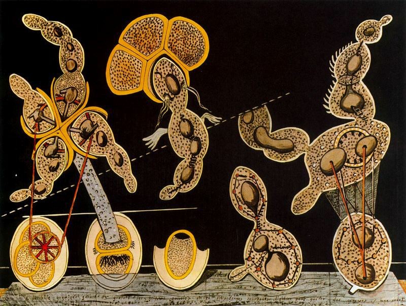 The Gramineous Bicycle Garnished with Bells the Dappled Fire Damps and the Echinoderms Bending the Spine to Look for Caresses by Max Ernst