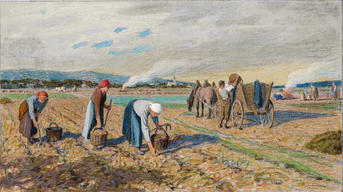 Potato harvest in the Dresden Elbe Valley by Max Pietschmann