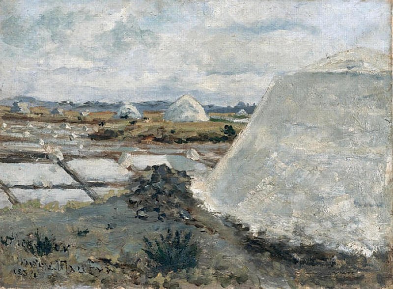 Salt evaporation pond by Maxime Maufra