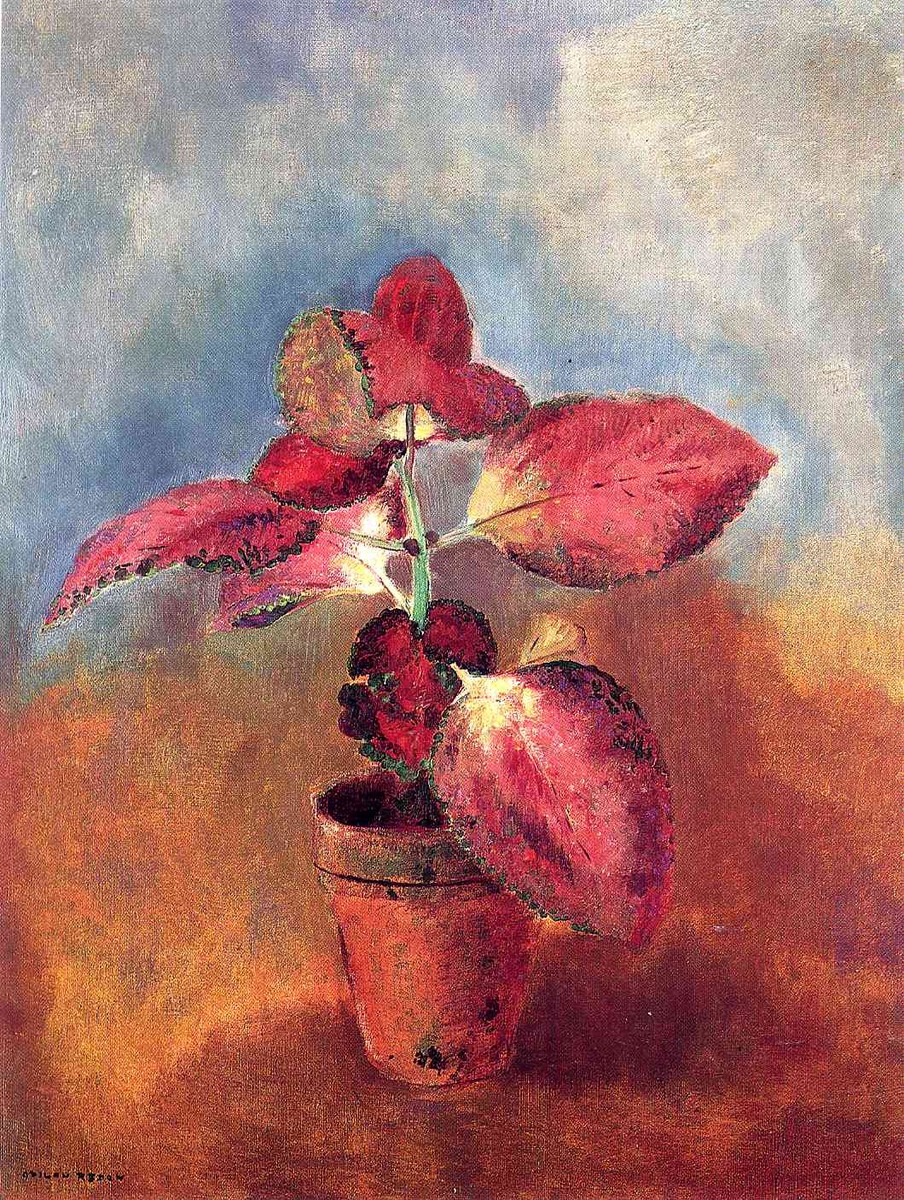 Begonia in a Pot by Odilon Redon