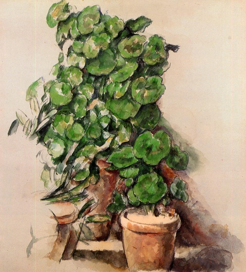 Pots of Geraniums by Paul Cezanne