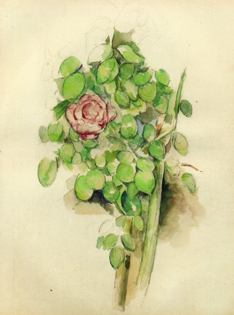 Rose Bush by Paul Cezanne