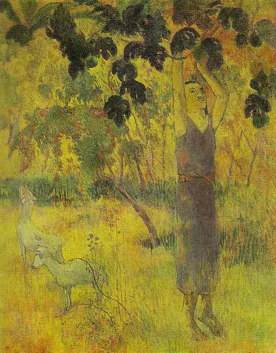 Man Picking Fruit from a Tree by Paul Gauguin