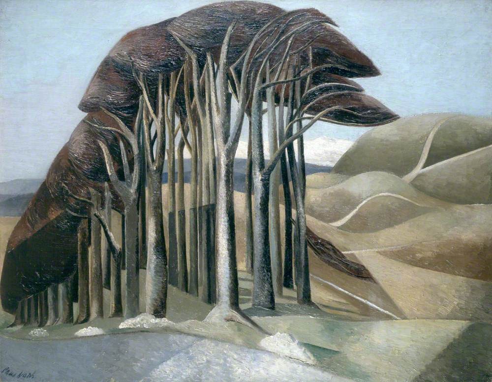 Wood on the Downs by Paul Nash