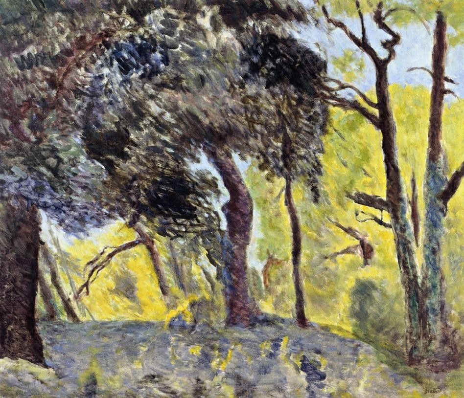 In the Woods (study) by Pierre Bonnard