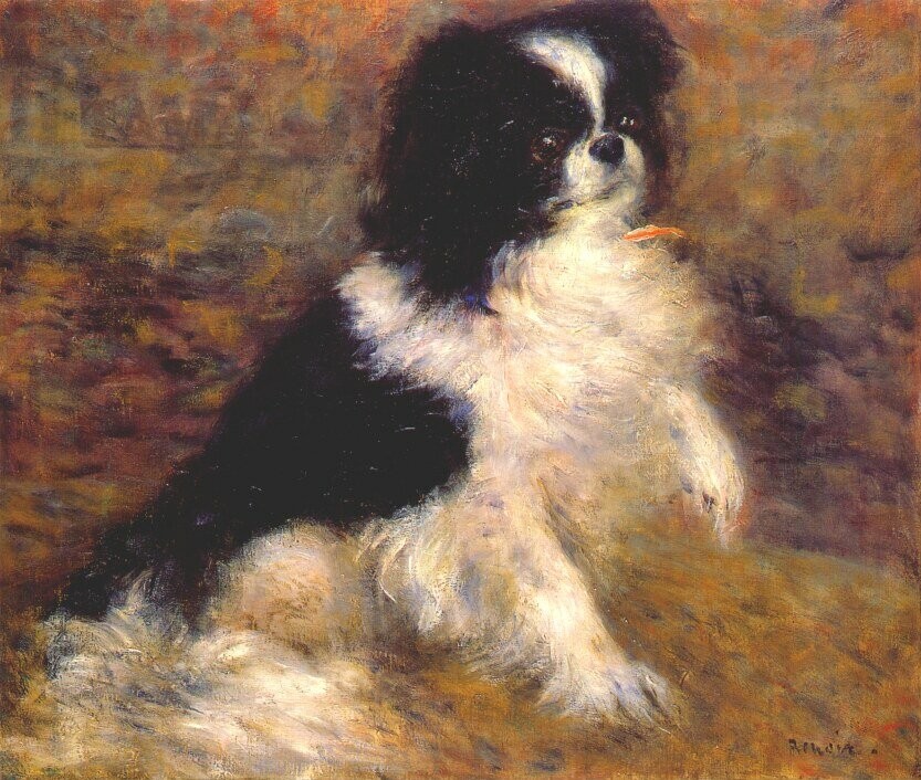 Tama the japanese dog by Pierre-Auguste Renoir