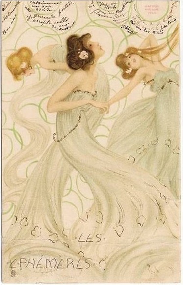 Mayflyes by Raphael Kirchner