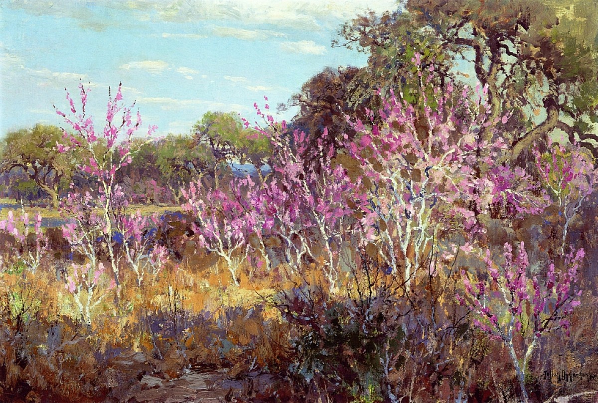 Redbud Tree in Bloom at Leon Springs, San Antonio by Robert Julian Onderdonk