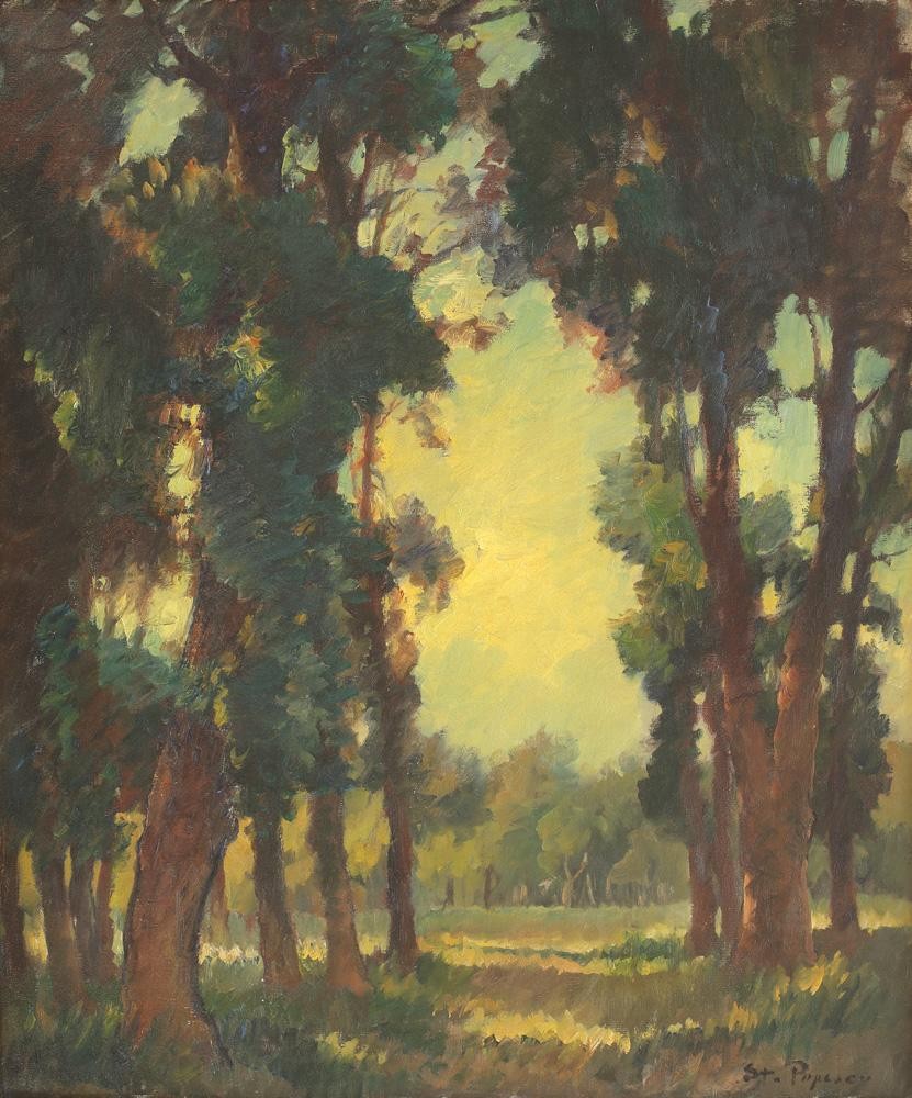 Forest Vista by Stefan Popescu