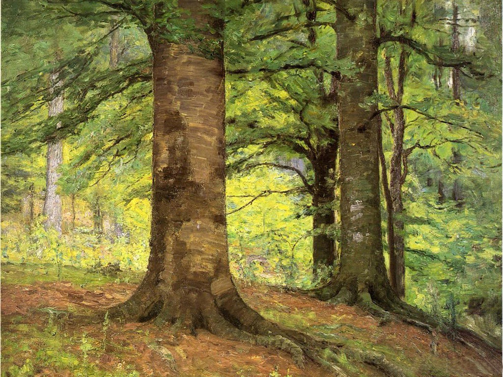Beech Trees by T. C. Steele